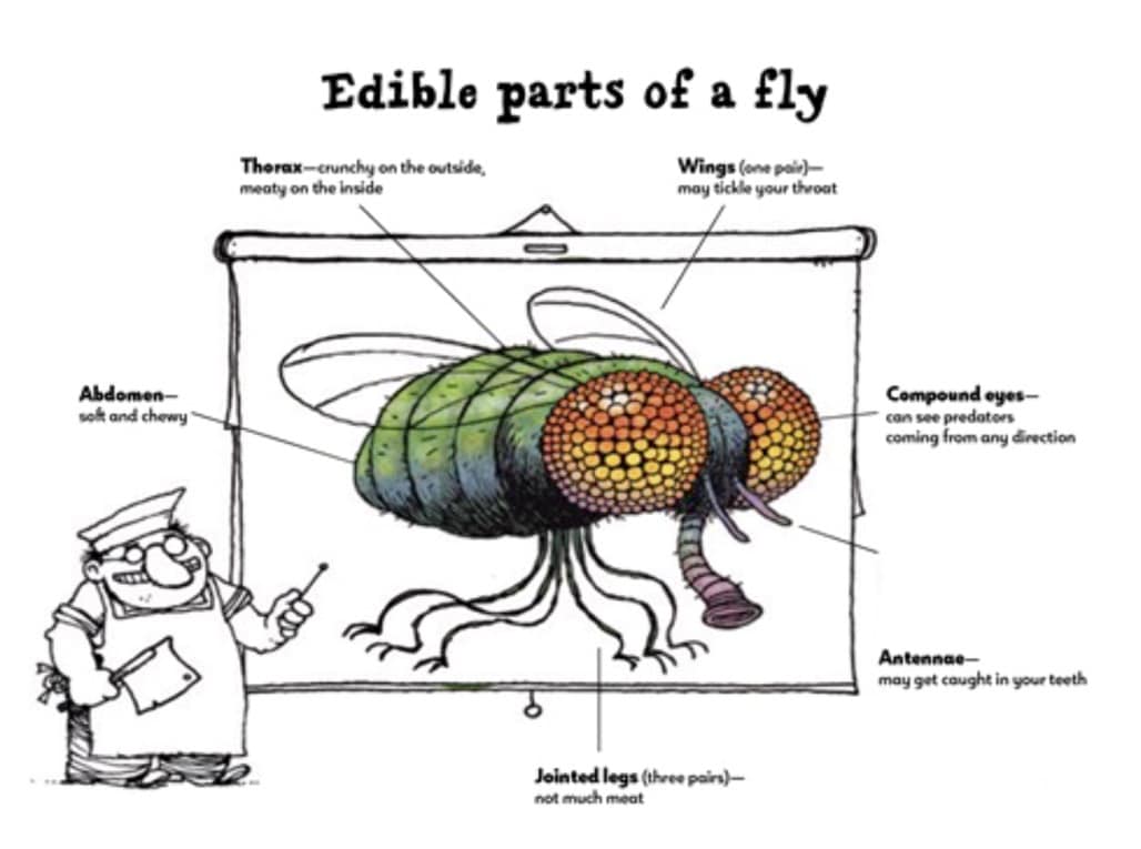 13 WAYS TO EAT A FLY Kathy apRoberts